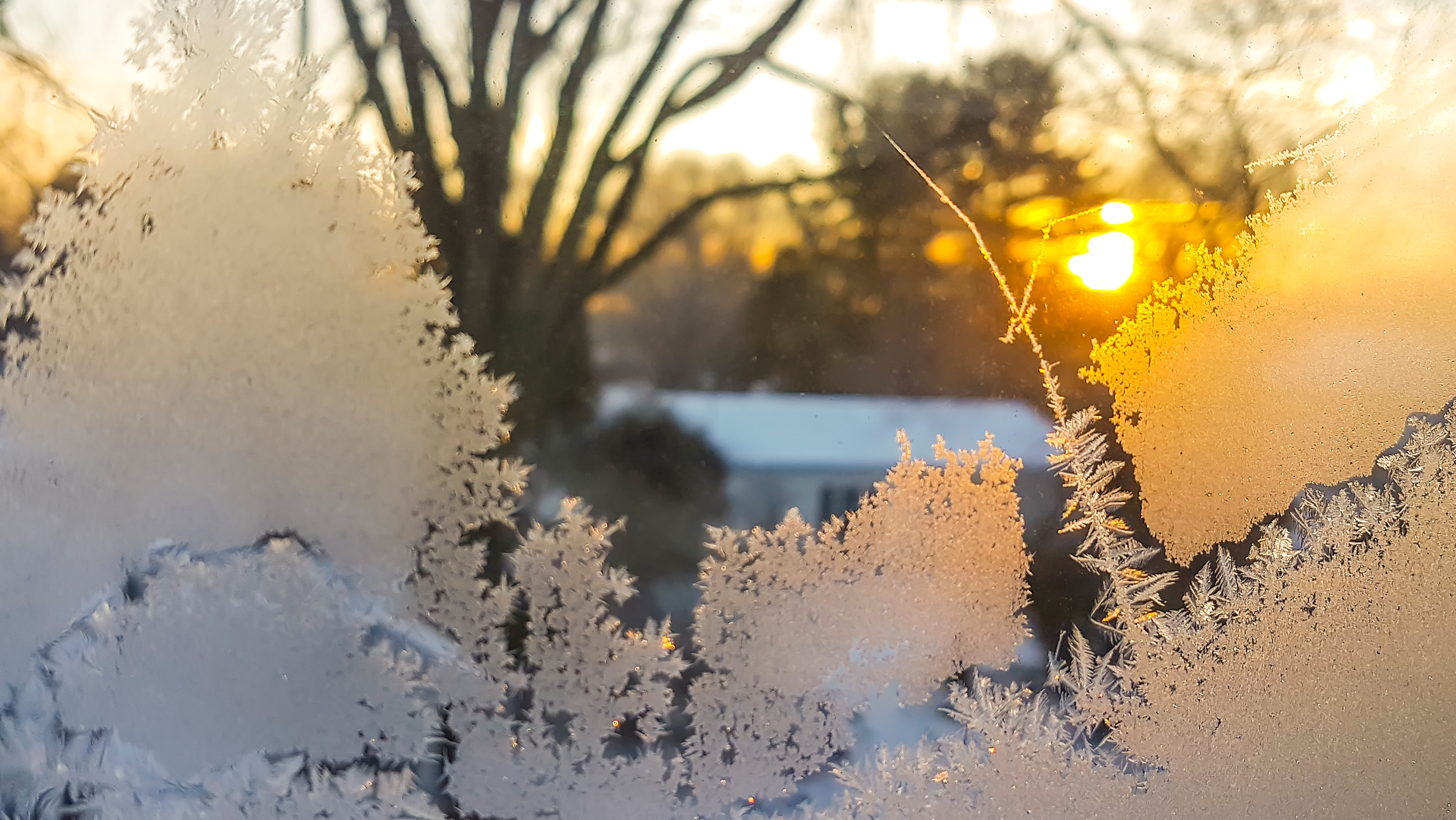 Frost on window